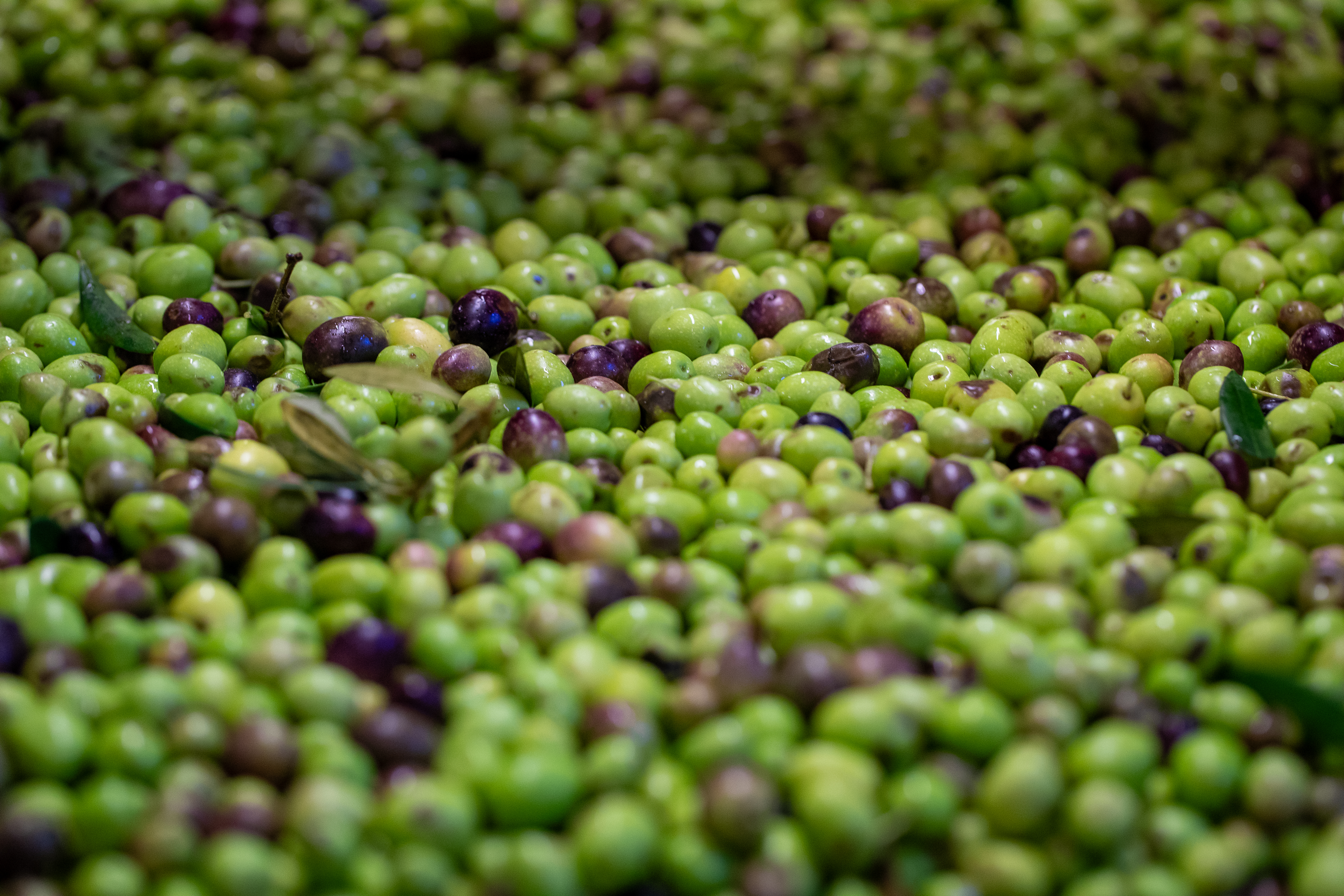 Produire et valoriser