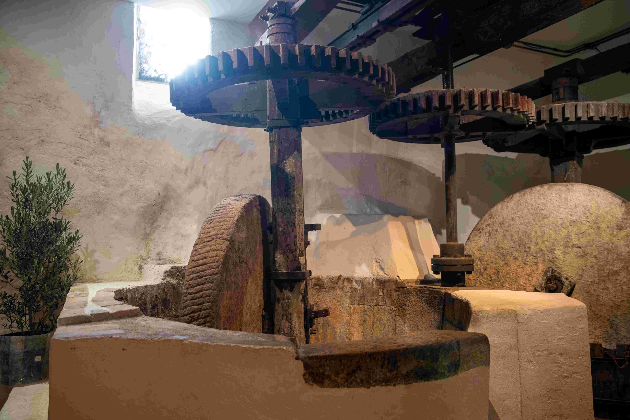 Visites et animations au Moulin d'Opio